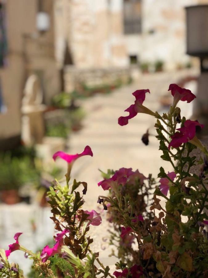 Casa Rural Mirador بوكايرينت المظهر الخارجي الصورة